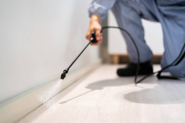 Licensed Pest Control service in Walnut Creek, NC - Show Me Pest Control